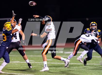 Thumbnail 2 in Los Gatos @ Milpitas photogallery.