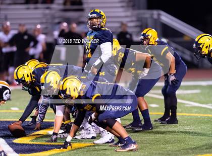 Thumbnail 2 in Los Gatos @ Milpitas photogallery.