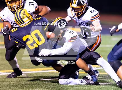 Thumbnail 3 in Los Gatos @ Milpitas photogallery.