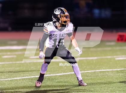 Thumbnail 3 in Los Gatos @ Milpitas photogallery.