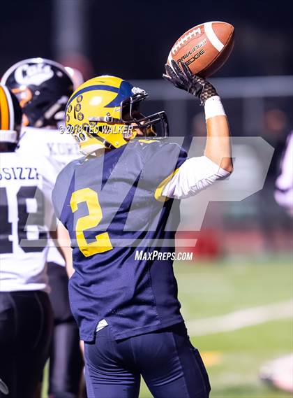 Thumbnail 1 in Los Gatos @ Milpitas photogallery.