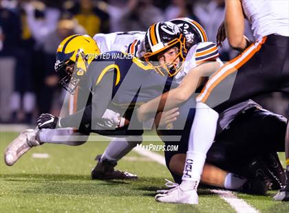 Thumbnail 3 in Los Gatos @ Milpitas photogallery.