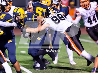 Thumbnail 3 in Los Gatos @ Milpitas photogallery.