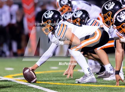 Thumbnail 1 in Los Gatos @ Milpitas photogallery.