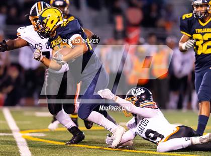 Thumbnail 1 in Los Gatos @ Milpitas photogallery.
