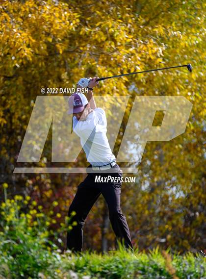 Thumbnail 2 in IDHSAA 5A State Championships photogallery.