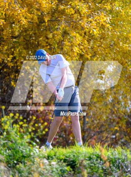 Thumbnail 1 in IDHSAA 5A State Championships photogallery.