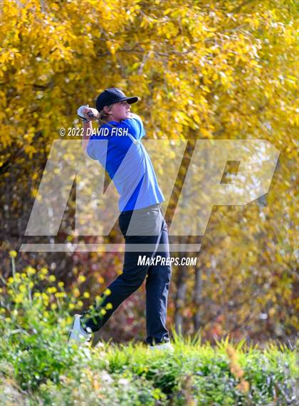 Thumbnail 1 in IDHSAA 5A State Championships photogallery.