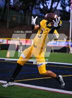 Photo from the gallery "Reading @ Red Lion"