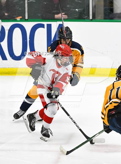 Thumbnail 1 in Victor vs. Penfield (Section V Class A Final) photogallery.