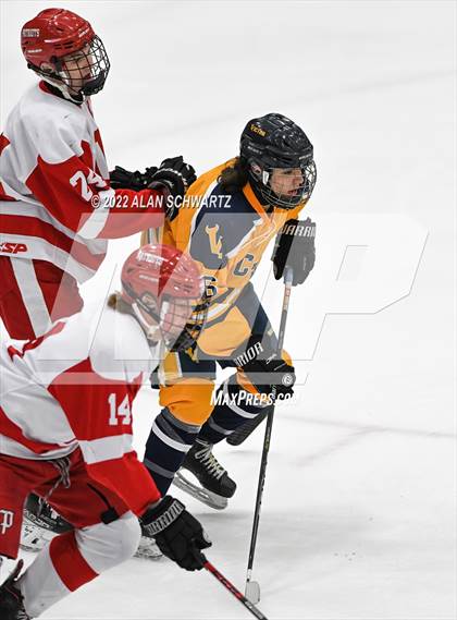 Thumbnail 1 in Victor vs. Penfield (Section V Class A Final) photogallery.