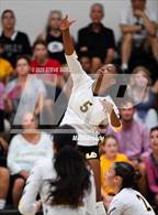 Photo from the gallery "High Tech Mesa @ Mission Bay"