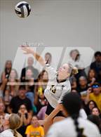 Photo from the gallery "High Tech Mesa @ Mission Bay"