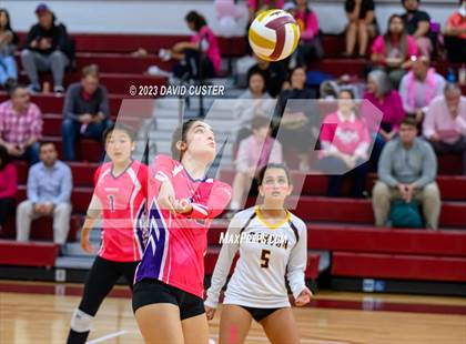 Thumbnail 3 in Centreville @ Oakton photogallery.