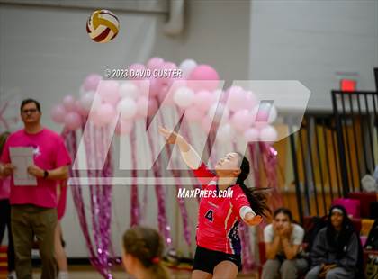 Thumbnail 2 in Centreville @ Oakton photogallery.