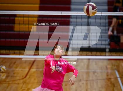 Thumbnail 3 in Centreville @ Oakton photogallery.