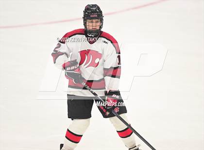 Thumbnail 3 in Newington Co-op vs. Masuk (CIAC DIII Final) photogallery.