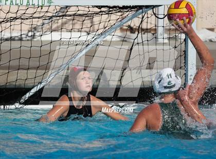Thumbnail 1 in Saint Francis vs Palo Alto (NorCal Invitational) photogallery.