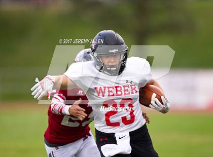 Thumbnail 3 in Weber @ Northridge photogallery.