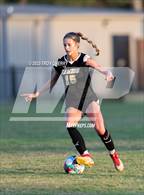 Photo from the gallery "Dreher @ Camden"