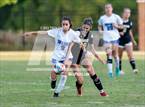 Photo from the gallery "Dreher @ Camden"