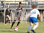 Photo from the gallery "Dreher @ Camden"
