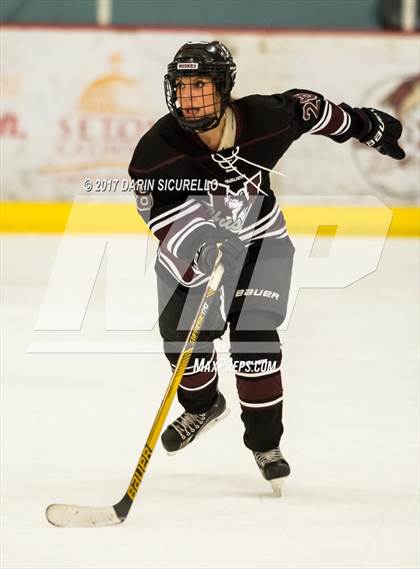 Thumbnail 3 in Hamilton vs Pinnacle (AHSHA Division 3 Quarterfinal) photogallery.