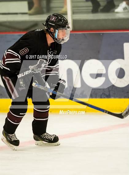 Thumbnail 1 in Hamilton vs Pinnacle (AHSHA Division 3 Quarterfinal) photogallery.