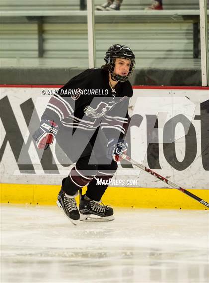 Thumbnail 1 in Hamilton vs Pinnacle (AHSHA Division 3 Quarterfinal) photogallery.