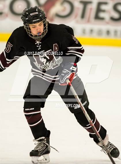 Thumbnail 1 in Hamilton vs Pinnacle (AHSHA Division 3 Quarterfinal) photogallery.