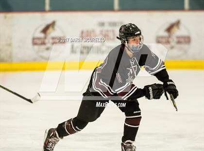 Thumbnail 1 in Hamilton vs Pinnacle (AHSHA Division 3 Quarterfinal) photogallery.