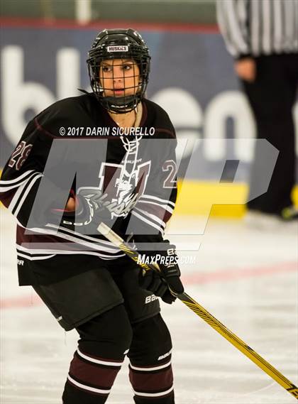 Thumbnail 2 in Hamilton vs Pinnacle (AHSHA Division 3 Quarterfinal) photogallery.