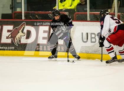 Thumbnail 3 in Hamilton vs Pinnacle (AHSHA Division 3 Quarterfinal) photogallery.