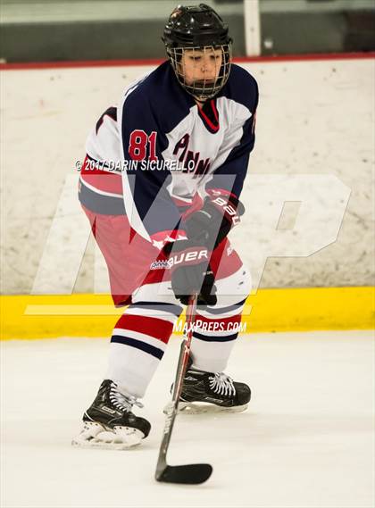Thumbnail 3 in Hamilton vs Pinnacle (AHSHA Division 3 Quarterfinal) photogallery.