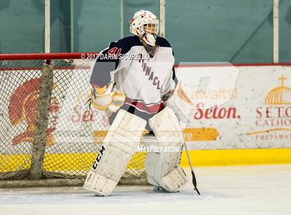 Thumbnail 3 in Hamilton vs Pinnacle (AHSHA Division 3 Quarterfinal) photogallery.