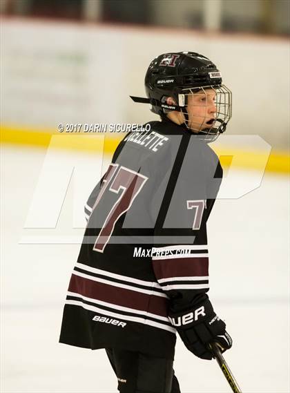 Thumbnail 1 in Hamilton vs Pinnacle (AHSHA Division 3 Quarterfinal) photogallery.