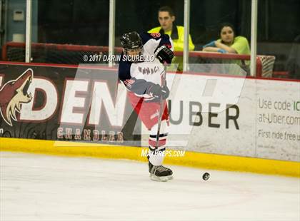 Thumbnail 1 in Hamilton vs Pinnacle (AHSHA Division 3 Quarterfinal) photogallery.