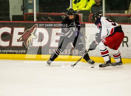 Thumbnail 1 in Hamilton vs Pinnacle (AHSHA Division 3 Quarterfinal) photogallery.