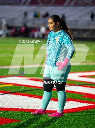 Hylton @ Gainesville