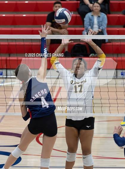 Thumbnail 3 in JV: Bishop O'Dowd @ Rancho Cotate (NorCal Invitational) photogallery.