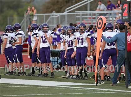 Thumbnail 3 in Shasta @ Foothill photogallery.