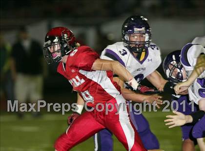Thumbnail 3 in Shasta @ Foothill photogallery.