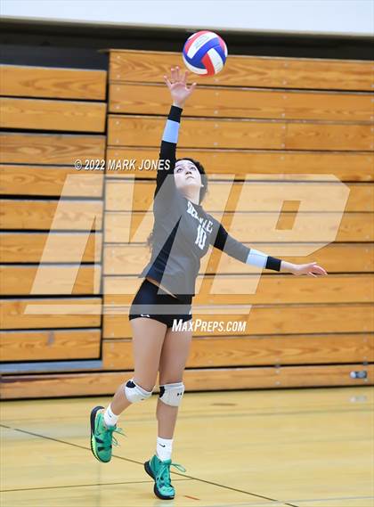 Thumbnail 1 in Deer Valley vs. Paradise Valley  (Goldwater Volleyball Festival Tournament - Gold Division) - Semifinal photogallery.