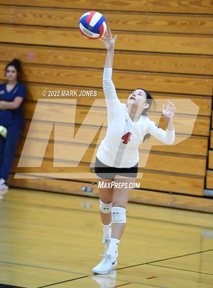 Thumbnail 3 in Deer Valley vs. Paradise Valley  (Goldwater Volleyball Festival Tournament - Gold Division) - Semifinal photogallery.