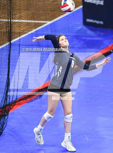 null - Photo 31