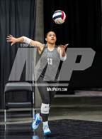 Photo from the gallery "Northridge vs. Springville (UHSAA 5A Second Round)"