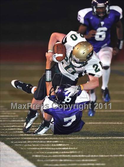Thumbnail 2 in Birdville @ Paschal photogallery.