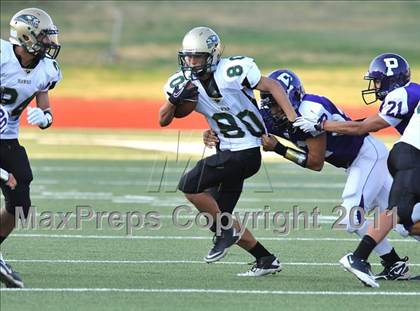 Thumbnail 2 in Birdville @ Paschal photogallery.