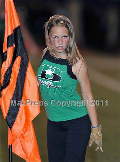 Thumbnail 3 in Birdville @ Paschal photogallery.