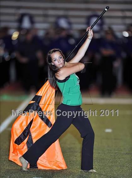 Thumbnail 2 in Birdville @ Paschal photogallery.